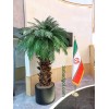 نخل مصنوعی لاکچری